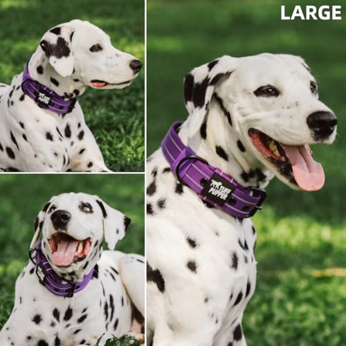 Image of Tuff Pupper Heavy Duty Tactical Dog Collar | 1.5 inch Wide Ballistic Nylon | Reflective Stitching | Integrated ID Tag Holder | Stainless Steel Buckle | Padded Lining | Medium & Large Dogs (Purple, Large)
