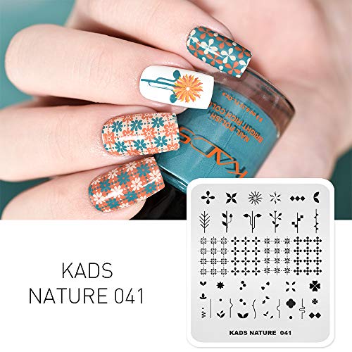 Alexnailart - Piastra in acciaio inossidabile per