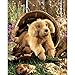 Folkmanis Golden Retriever Puppy Hand Puppet, Tan, 1 EA