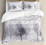 EANSSN Ensemble Housse Couette d'hiver, Branche d'arbre sans Feuilles Foggy Misty Cold Scene in Weather Print, Ensemble Literie Décoratif 3 Pièces avec 2 Taies d'oreiller Gris Single Size