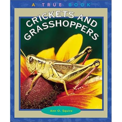 Crickets and Grasshoppers
