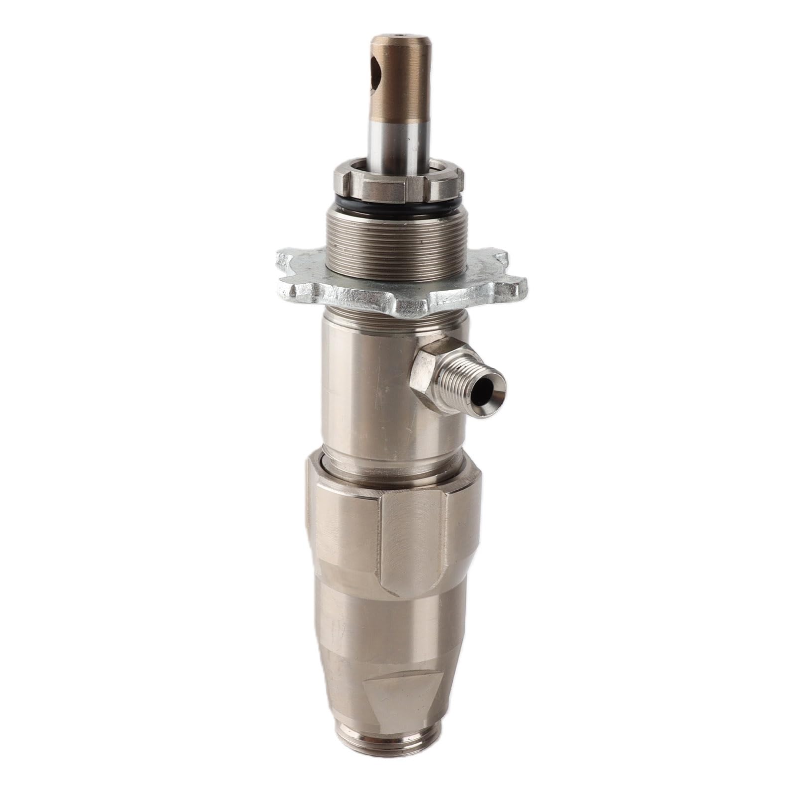 Sprühpumpe aus Edelstahl, Langlebig und Effizient, für Professionelle Sprühmaschine, 20 cm Länge