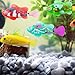 KBIBCK Robo Fish Imagen de KBIBCK Robo Fish