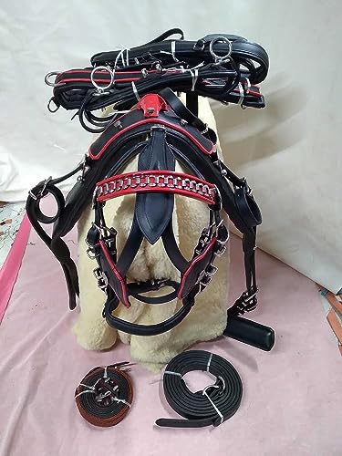 Gypsy Horse Driving Harness in Black Color with Red Piping | Single Horse Cart | (Full)