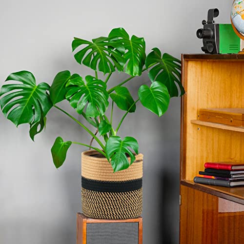 tenn well 20cm Plant Pot with Liner, Cotton Indoor Planter Woven Storage Basket for Indoor Plants Flower Pot and Home Decoration (Black and Brown) - Image 4