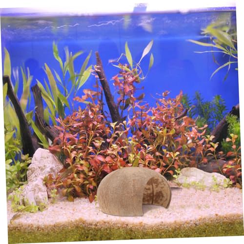 YARNOW 2 RRibcVFpGrB hϋv঒ސn ɐBipYVF^[  xeꏊ pN[