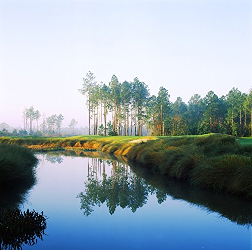 Reflection of Trees on Water Poster 24x24