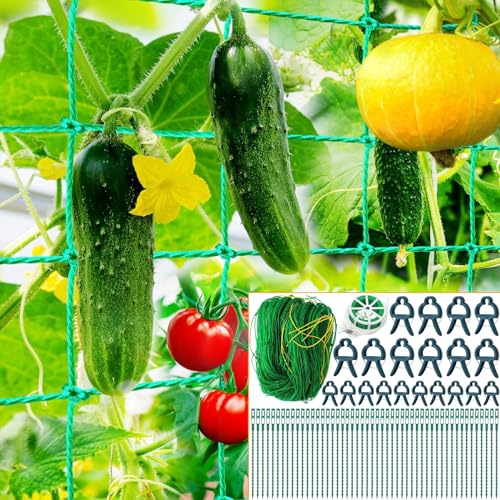 Tarocat Pflanzennetz Ranknetz, 2M x 3M Pflanzennetz mit großer...