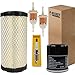 Huskey Golf Cart Tune Up Kit for Club Car Precedent 2004-2015 Model with FE350 Kawasaki Motor, Includes Air Filter, Oil Filter, NGK Spark Plug, 2X Fuel Filters, Clutch Drive & Starter Generator Belt