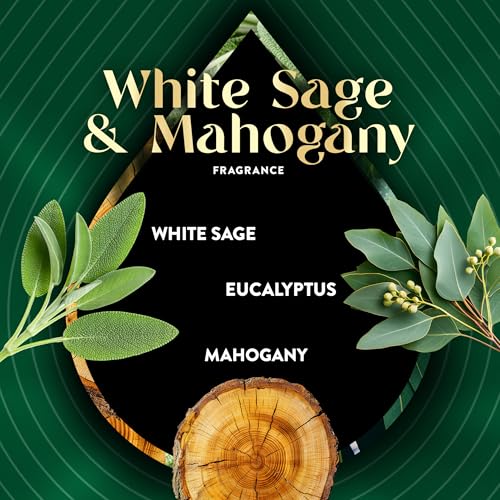 Image of Air Wick Vibrant Plug In Scented Oil Warmer + Refills, Infused with Essential Oils, Plug In Air Fresheners for Home, White Sage & Mahogany, Gadget + 3 ct
