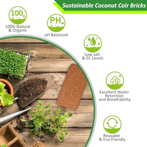 Riare 6 x 650g Organic Coco Coir Bricks - 100% Natural Compressed Coco Brick Coconut Fiber Growing Multi Purpose Substrate for Garden Potting Outdoor Indoor Plants