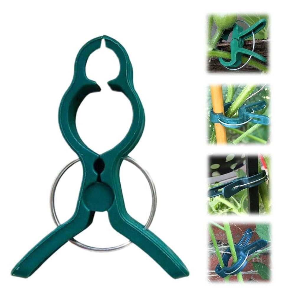 Piccole clip di supporto per piante in plastica sicure per piante rampicanti Clip di fissaggio per pomodori Clip per vite da giardino per traliccio a corda - Clip per piante durevoli e affidabili