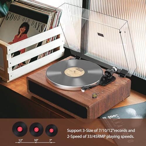 Platine Vinyle avec Haut-Parleurs Intégrés Bluetooth Vinyles Tourne Disque à Courroie Arrêt Automatique 33/45 Tours Sortie RCA Entrée AUX - Les Beatles, Paul McCartney, John Lennon, RIngo Starr, George Harrison Platine Vinyle avec Haut-Parleurs Intégrés Bluetooth Vinyles Tourne Disque à Courroie Arrêt Automatique 33/45 Tours Sortie RCA Entrée AUX – Image 7