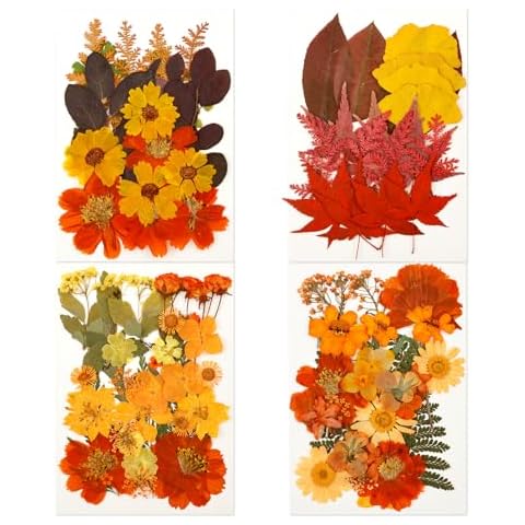 MENIBBLER 4 Pack Colourful Dried Flowers Cover