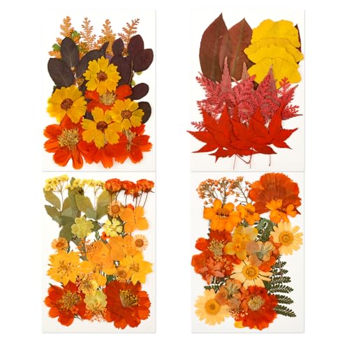 Flores secas prensadas de otoño para manualidades miniatura 1