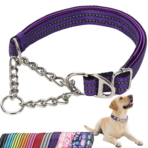 Reflective Martingale Collar for Dogs - Heavy Duty No Pull Dog Collar with Padded,Adjustable Dual D-Rings Design Choke Chain Collars for Large Medium XL,XXL Dogs Training Collar（Purple L Z （