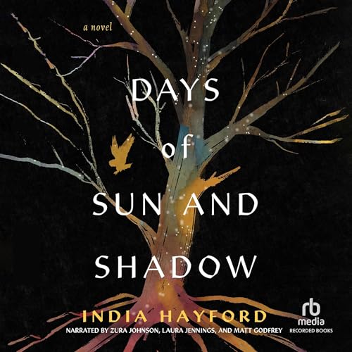 『Days of Sun and Shadow』のカバーアート