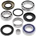 Boss Bearing S-ATV-RR-1008-4J7 Rear Differential Bearings and Seals Kit Suzuki LTF250 LT-F250 Ozark 2002-2009