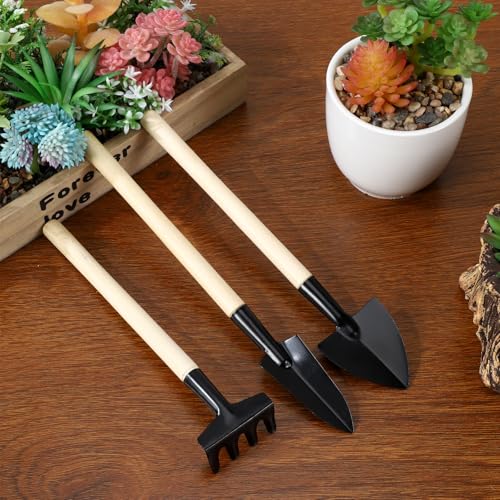 Set Mini de Herramientas para Jardín 6 Piezas miniatura 3