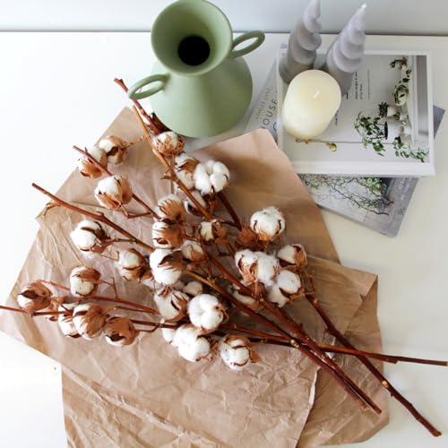 Carbeth Plants - Natural Dried Cotton Stems - Mixed Quantities - Approx. 60cm in Height - Ideal for Home Décor - Flower Arranging (6)