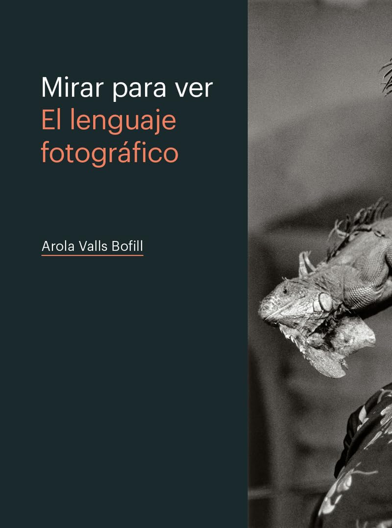 MIRAR PARA VER. EL LENGUAJE FOTOGRÁFICO (SIN COLECCION)
