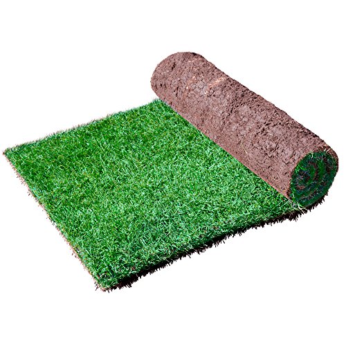 Harrowden Turf Premium Lawn Turf - 40 Rolls (40m²)