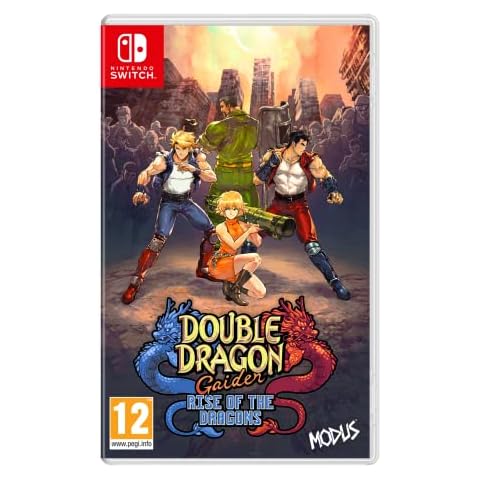 Double Dragon Gaiden: Rise of the Dragons Game Cover