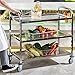 CURTA Stainless Steel Serving Trolley, 38