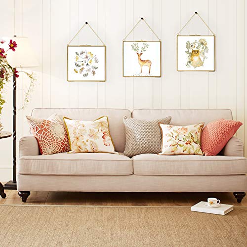 Tlbtek 8X8 Inch Brass Hanging Photo Frame,Double Glass Frame For Pressed Flowers,Clear Diy Vintage Artwork Display Frame Wall Mounted Photos Frame #TOP3