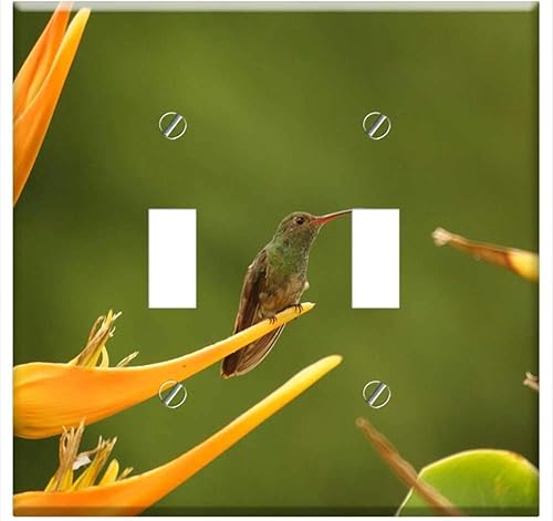 Switch Plate Double Toggle - Birds Nature Armenia Quindio Colombia 4