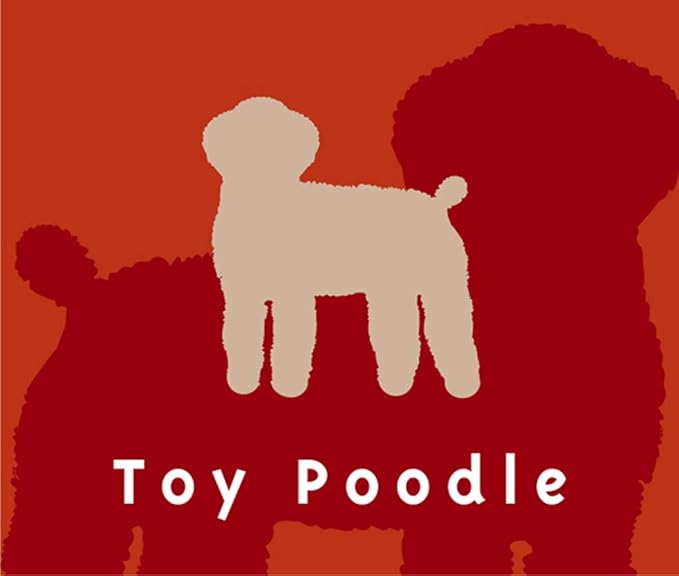 トイプードル アプリコット 犬 ステッカー テディベアカット シルエット Mk 2 シール ステッカー おもちゃ Amazon