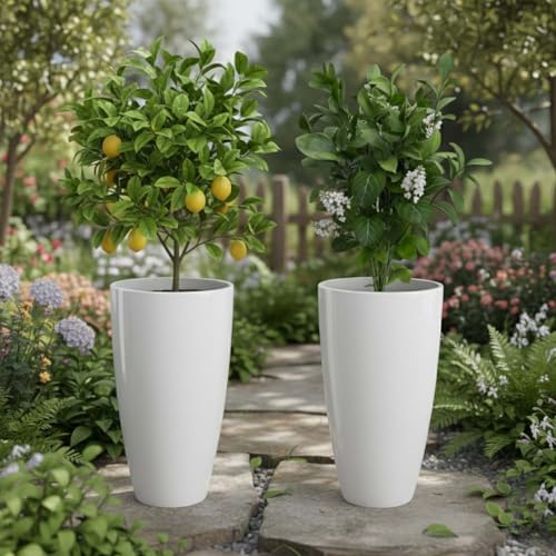Go Hooked Plastic Flower Pots for Indoor Outdoor Plants Pack of 2 | 14 Inch Large Tall Floor Planters for Home Decor, Living Room, Balcony & Garden | Lightweight Durable White Pots for Modern Homes