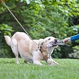 Jinlaili Hundeleine Stark Metall Kettenleine, 120cm Hochleistungs-Hundekette für große Hunde, Hochleistungs-Hundekette Leine Ketten Leine Hund Haltbar für mittelgroße Hunde Training (Rot)