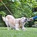 Jinlaili Hundeleine Stark Metall Kettenleine, 120cm Hochleistungs-Hundekette für große Hunde, Hochleistungs-Hundekette Leine Ketten Leine Hund Haltbar für mittelgroße Hunde Training (Rot)