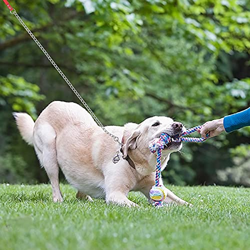 Jinlaili Hundeleine Stark Metall Kettenleine, 120cm Hochleistungs-Hundekette für große Hunde, Hochleistungs-Hundekette Leine Ketten Leine Hund Haltbar für mittelgroße Hunde Training (Rot)