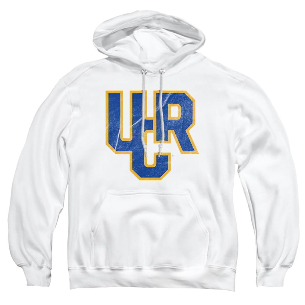 LOGOVISION Official Collegiate Distressed Primary Logo Adult Pullover Hoodie Collection — view 10