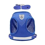 Harnais pour chiots : force uniforme, port prolongé, efficace pour éviter les blessures du chiot lors de la course, harnais pour chien