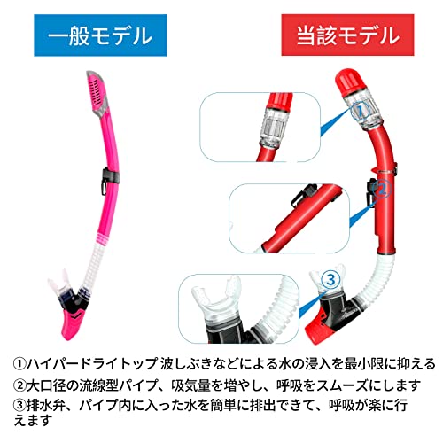 シュノーケルセット ドライスノーケル ダイビングマスク 曇