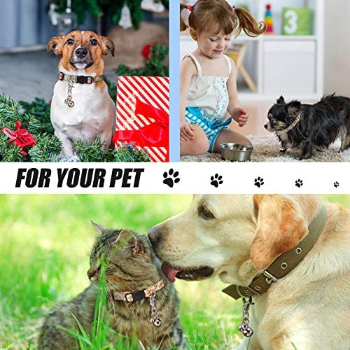 Weewooday 6 Stücke Haustier Glocken für Halsbänder Laute Hundeglocken Schlüsselringe Hundeglocken Halsband Charm Hund Verdreifach Glocke Anhänger für Hunde Katze Halskette Halsband Dekor (Silber)