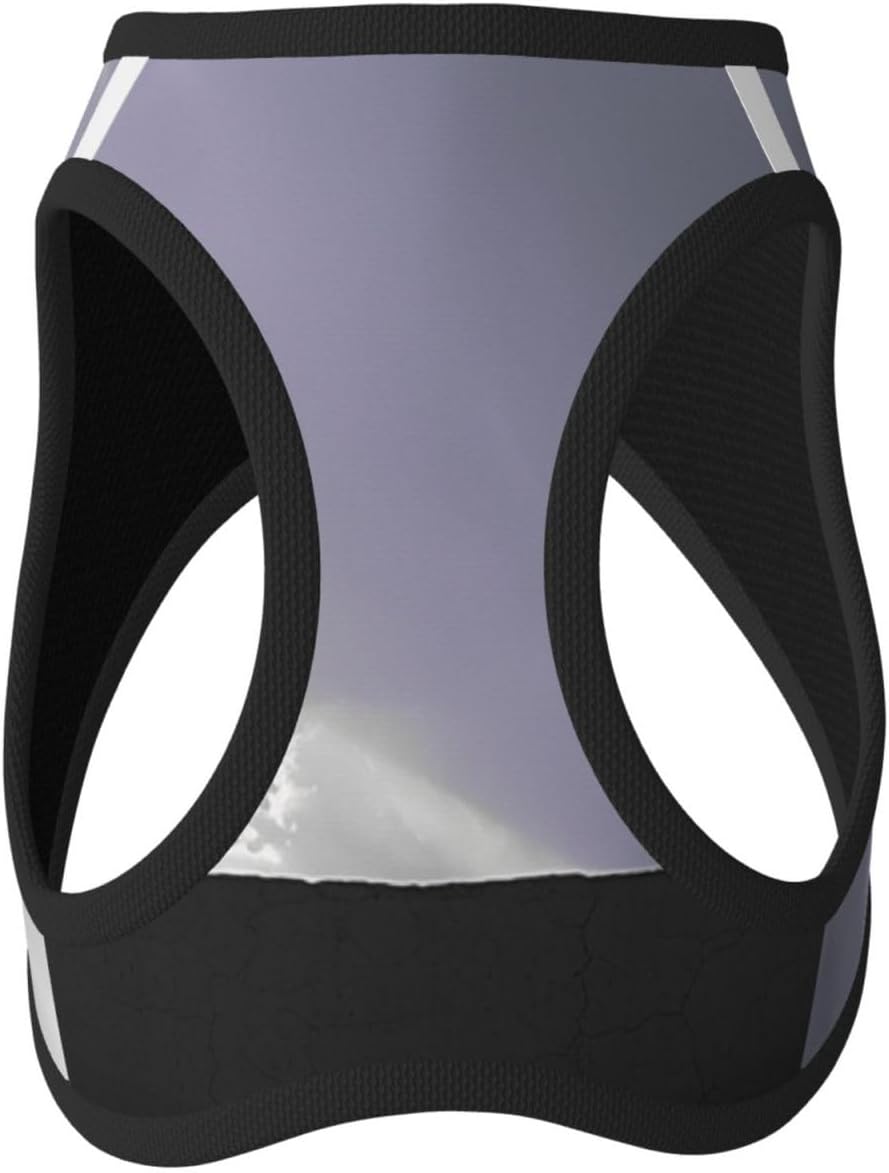 Volumetric Cloud Pet Vest Small Size Dog Harness and Leash Set, Reflective & Breathable for Puppy Training with Accessories Small