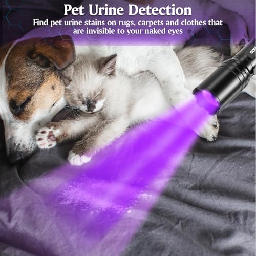 Gofimyee UV Taschenlampe Schwarzlichtlampe, 2 Stück Mini UV lampe mit Einstellbarem Fokus, 395nm Ultraviolett Lampe für Geocaching, Heimtierurindetektoren, Bernsteinsuche usw, Inklusive 2 AA Batterien
