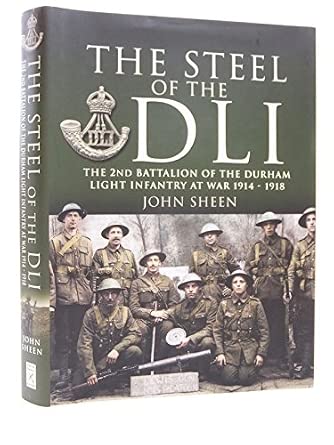 Steel of the Dli : the 2nd Battalion of the Durham Light Infantry at War 1914-1918: 2nd Battalion of the Durham Light Infantry, 1914-1918 book cover