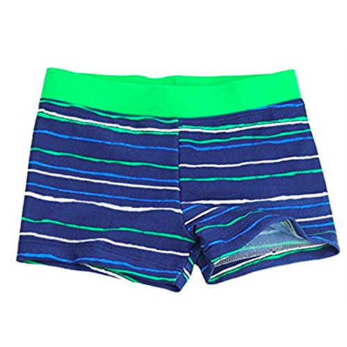 Neal LINK Kids Boys Swimming Trunks Swim Boxer Shorts Beach Bathing Suit Underpants Stripe (Stripe Blue, Large 3-4 Years)