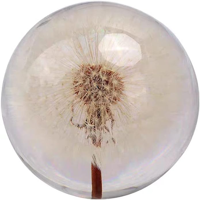 Saturey Bola de Cristal Moderno y Elegante Diente de león de Cristal de Cristal decoración de Escritorio Sala de Estar Porche Sala de Estudio Eterno Flor decoración Bola de Cristal Adivinacion