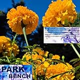 park bench position compilation  Park Bench