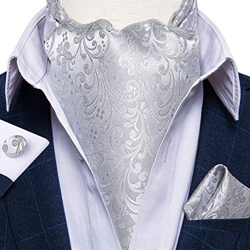 Set de corbata ascot de seda plateada para hombre miniatura 4