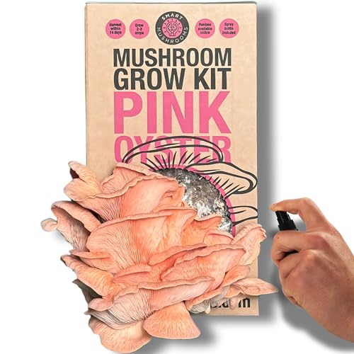 Smart Mushrooms Pink Oyster Mushroom Growing Kit | Grow Your Own Mushrooms Kit | Indoor Mushroom Grow Kit | Gardening Gifts for Women Men & Kids | Growth Guaranteed | Mushroom Gifts