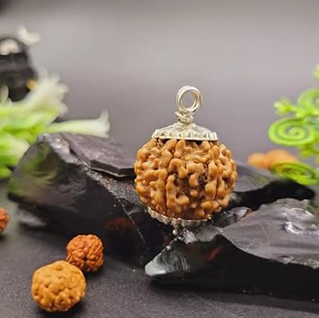 Royal Gems Nepal Best Nau Mukhi Rudraksha Pendant Natural Faces Real 9 Mukhi Rudraksha Original Certified by IGL Lab A1 Quality Amazing Bead 9 for Men & Women