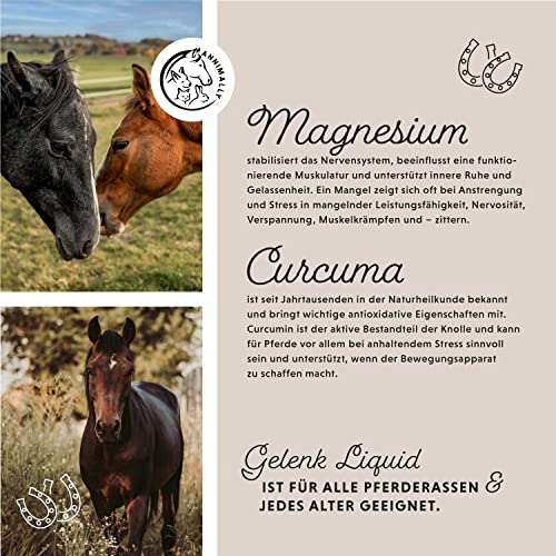 Foto von Annimally Gelenk Liquid für Pferde 1000ml mit Teufelskralle, Glucosamin und MSM (Schwefel) flüssig - Für die Stärkung der Gelenke beim Pferd - Alternative zu Pulver