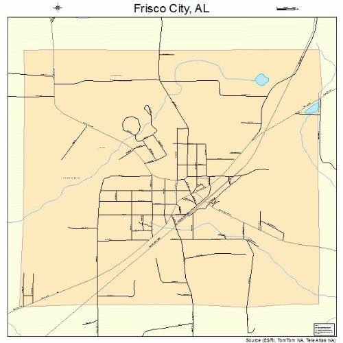 Large Street & Road Map of Frisco City, Alabama AL Printed poster